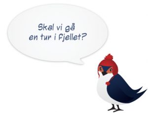 kurs norveskog jezika